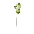 Green Snowball Viburnum Spray