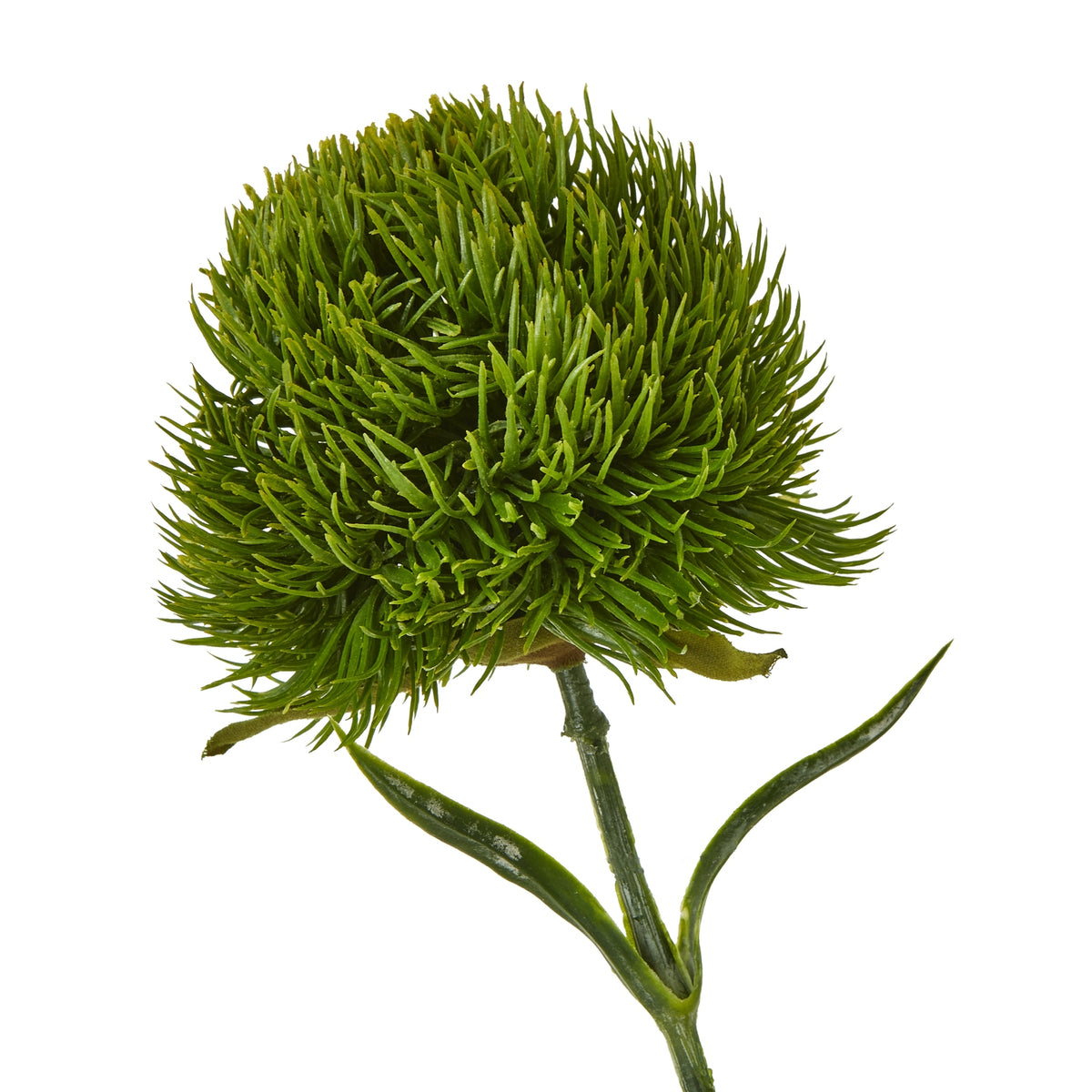 Dark Green Dianthus Stem - Green