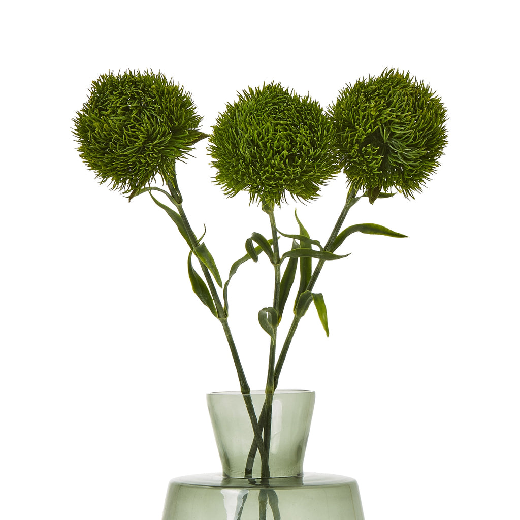 Dark Green Dianthus Stem - Green
