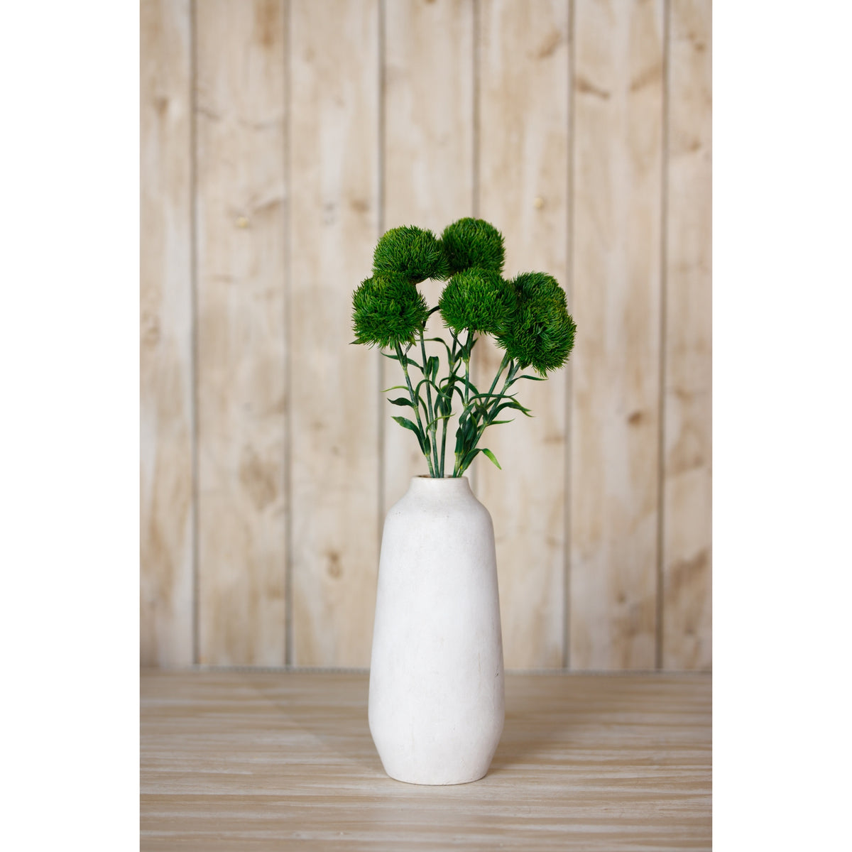 Dark Green Dianthus Stem - Green
