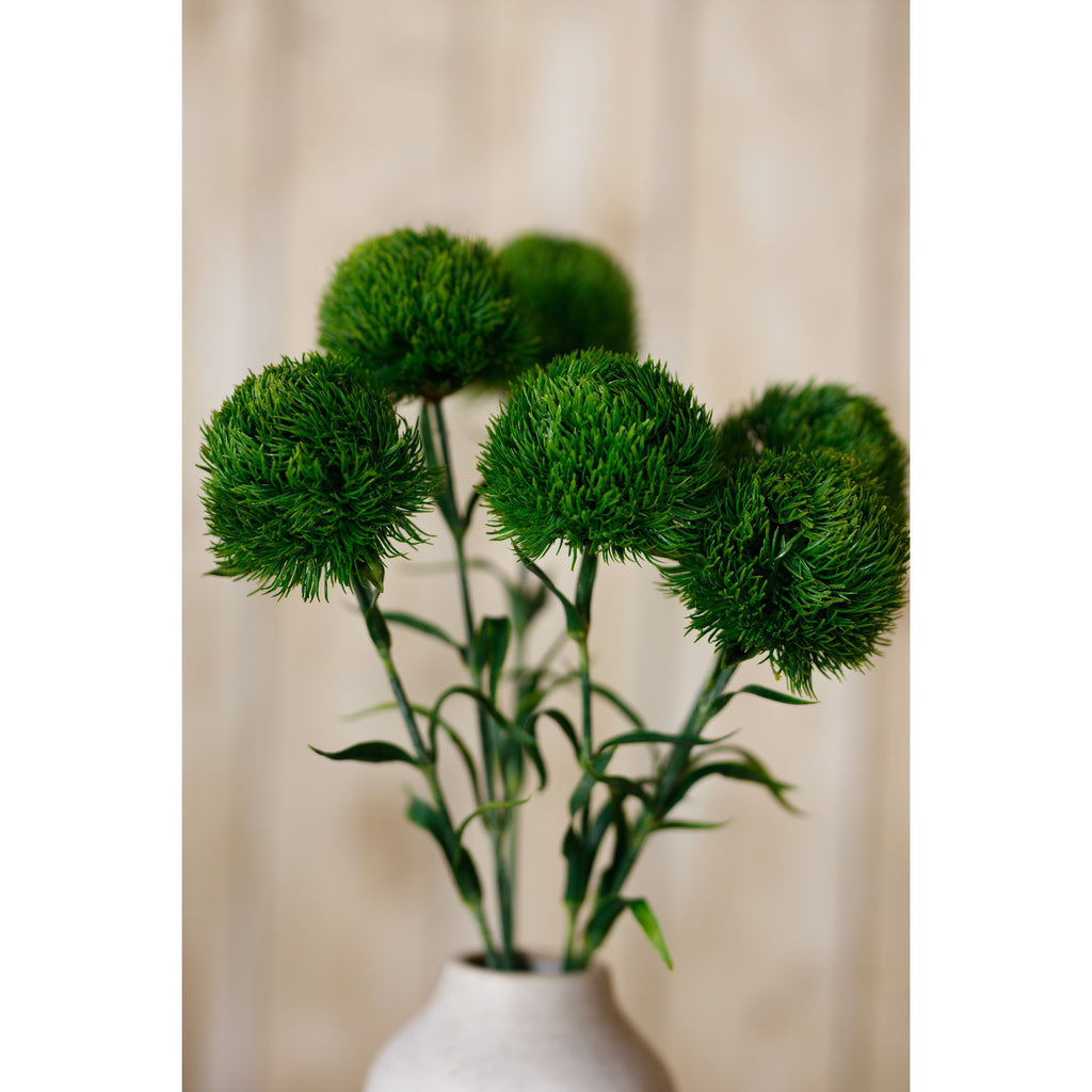 Dark Green Dianthus Stem - Green