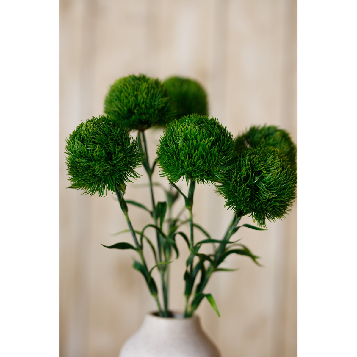 Dark Green Dianthus Stem - Green