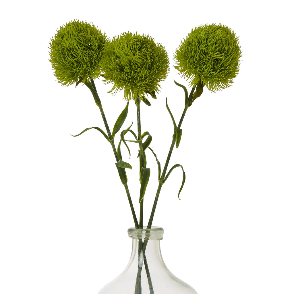 Light Green Dianthus Stem - Green