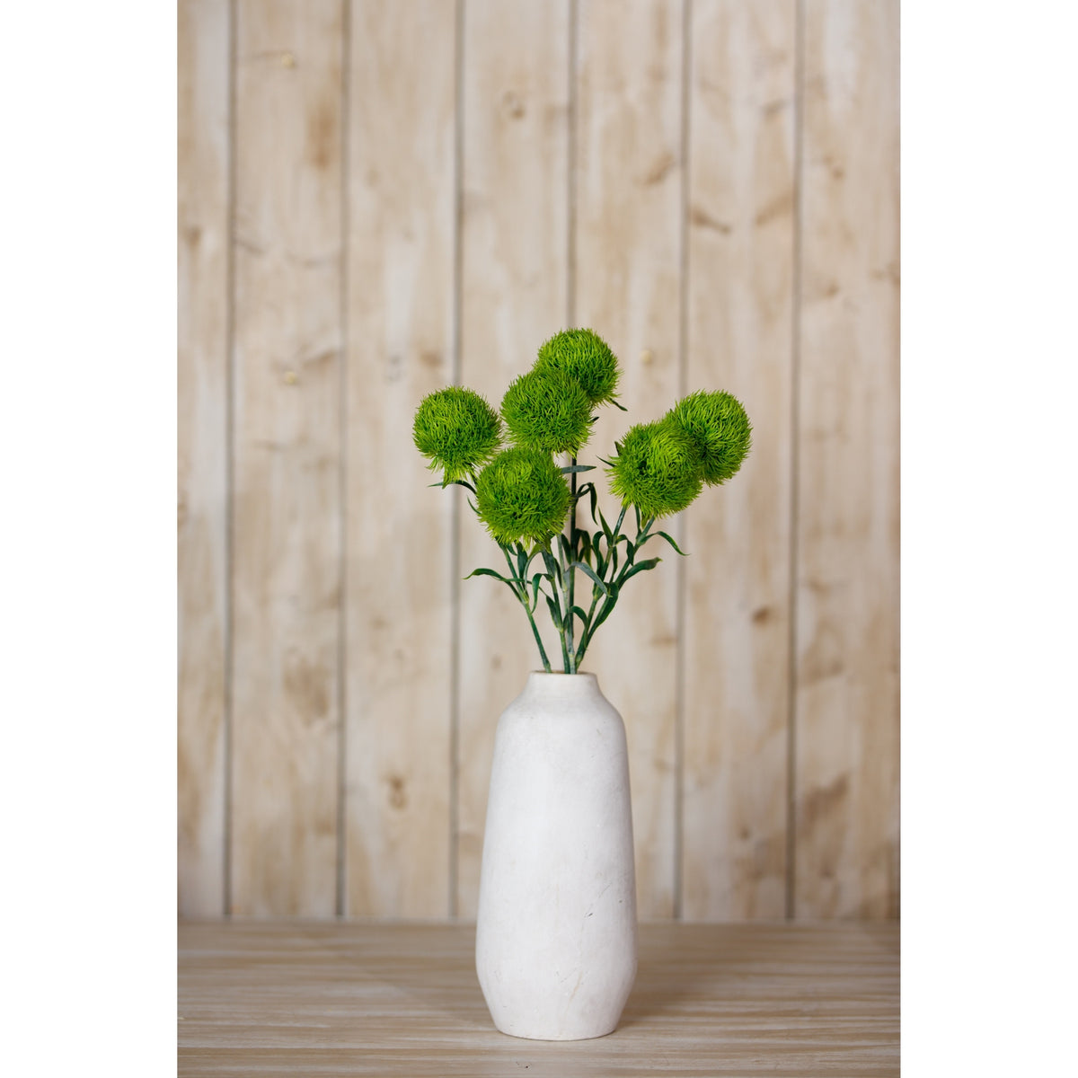 Light Green Dianthus Stem - Green