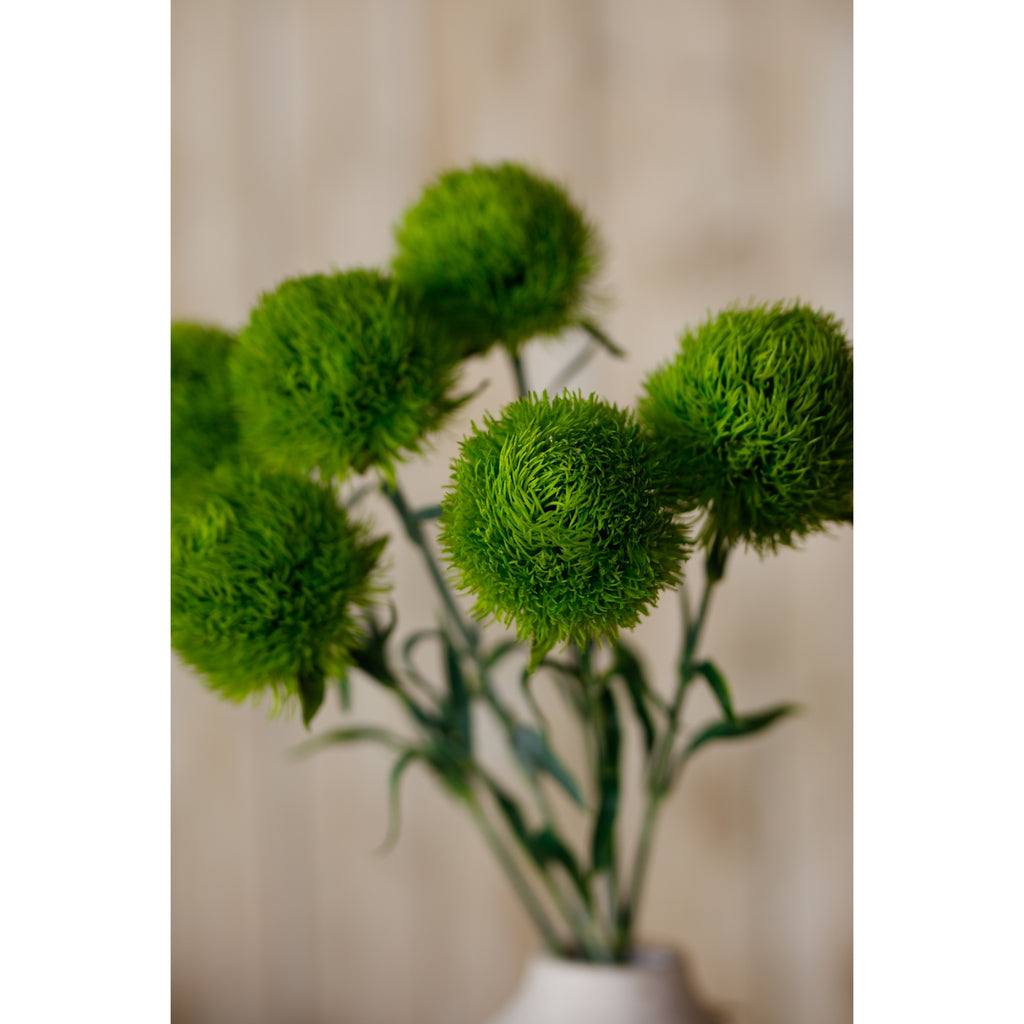 Light Green Dianthus Stem - Green