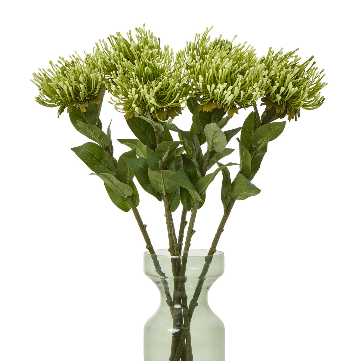Green Protea Lorea Stem - Green