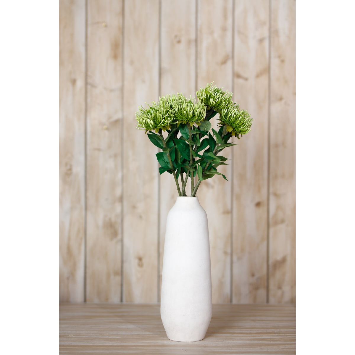 Green Protea Lorea Stem - Green