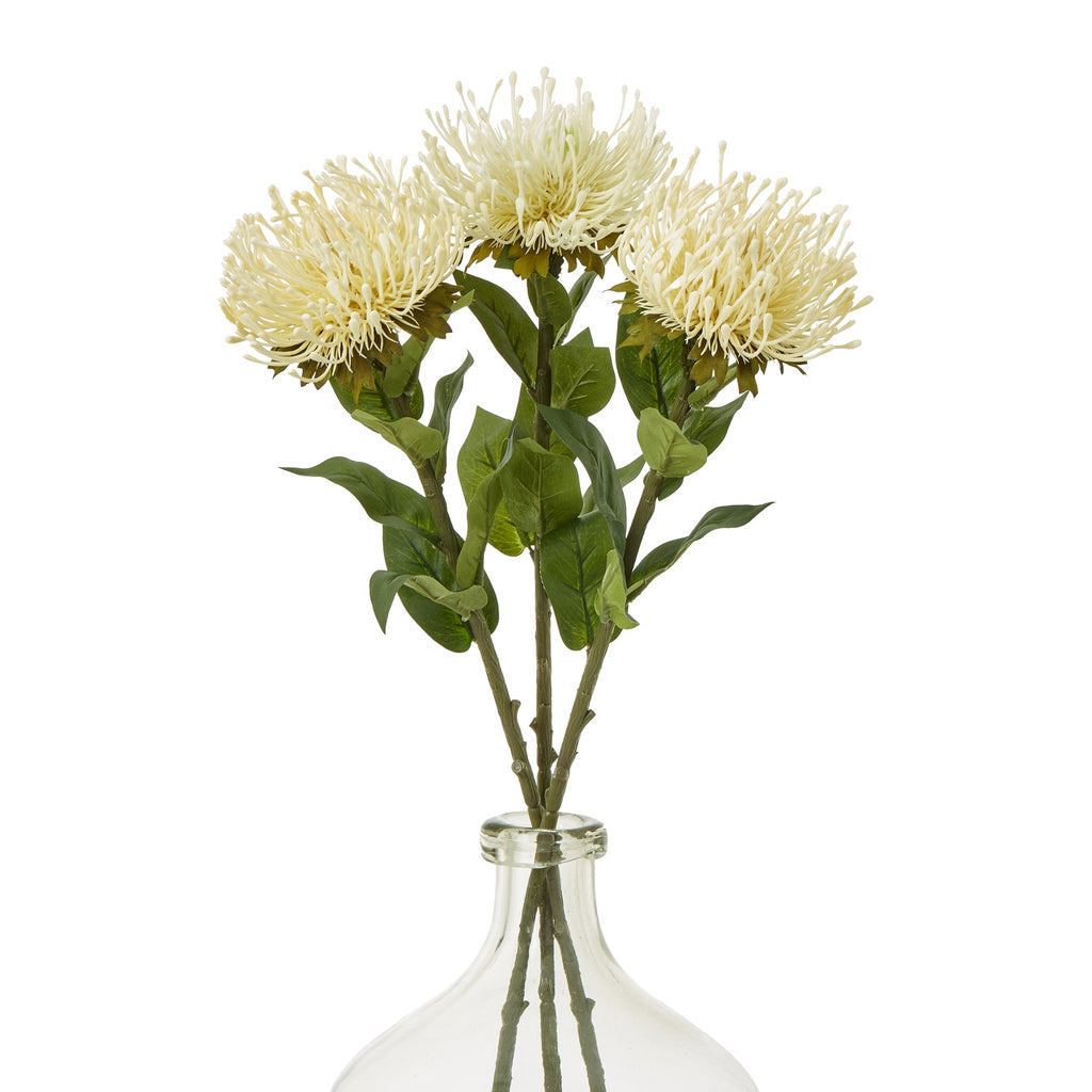 Cream Protea Lorea Stem - Cream