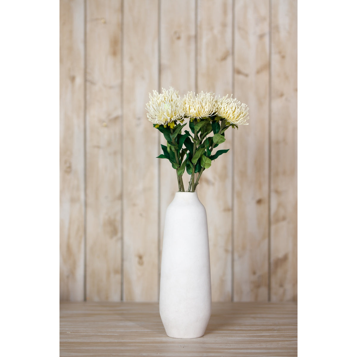 Cream Protea Lorea Stem - Cream