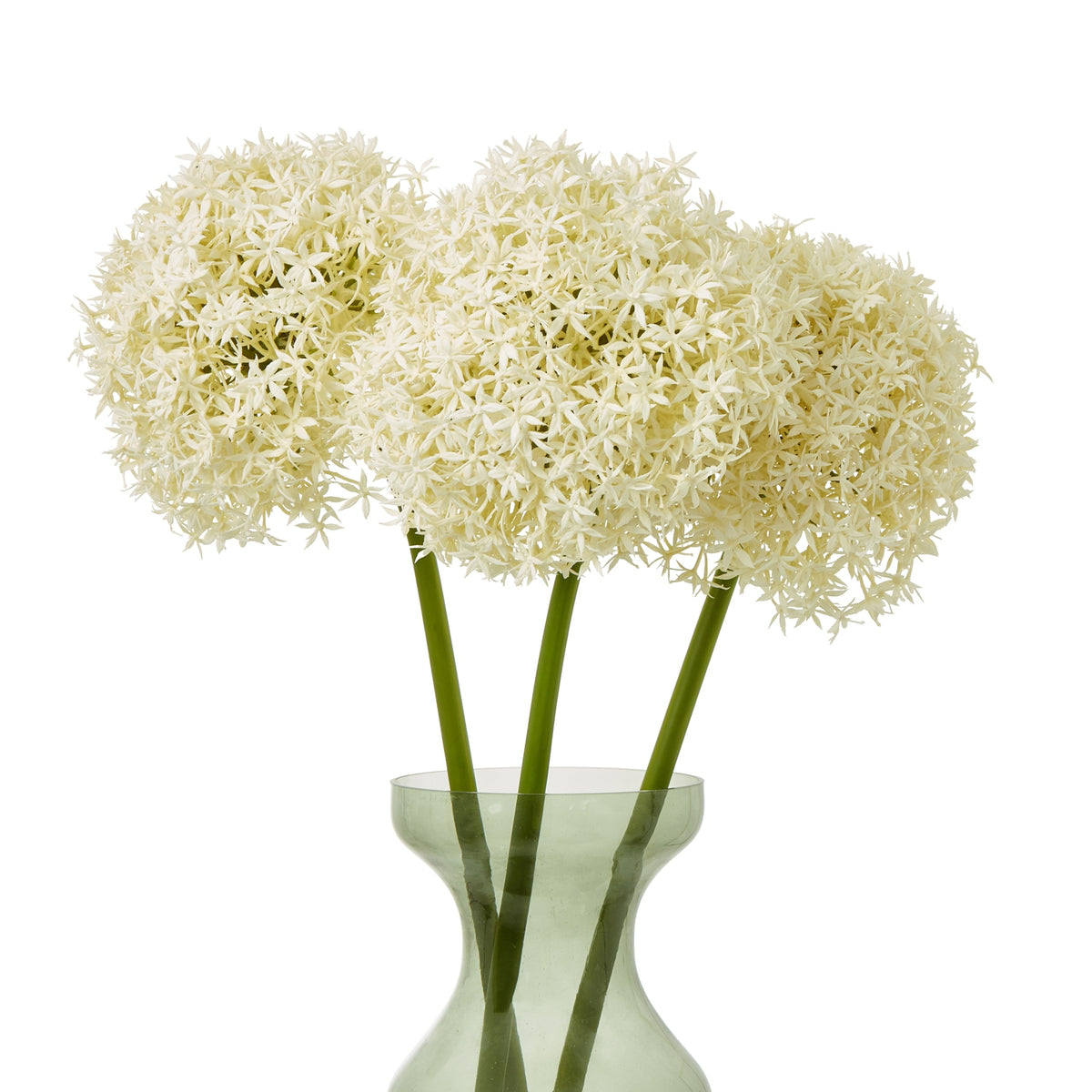 Cream Allium Stem - Cream