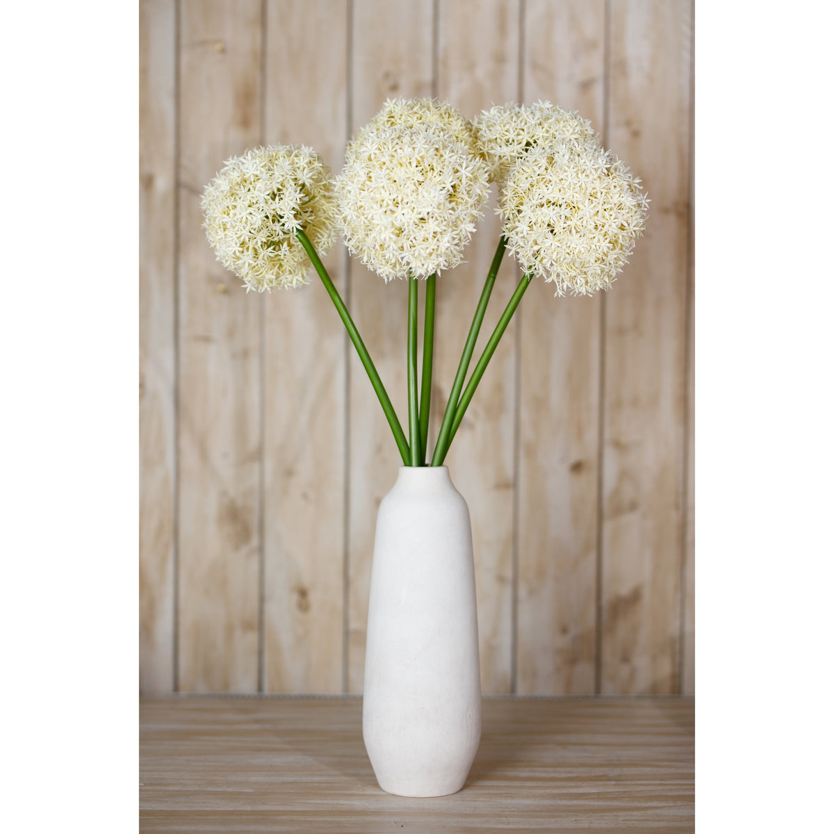 Cream Allium Stem - Cream