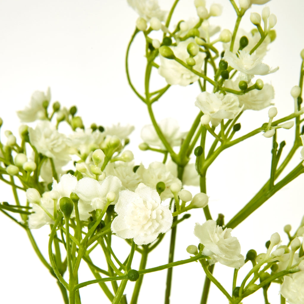 Cream Gypsophila Stem - Cream