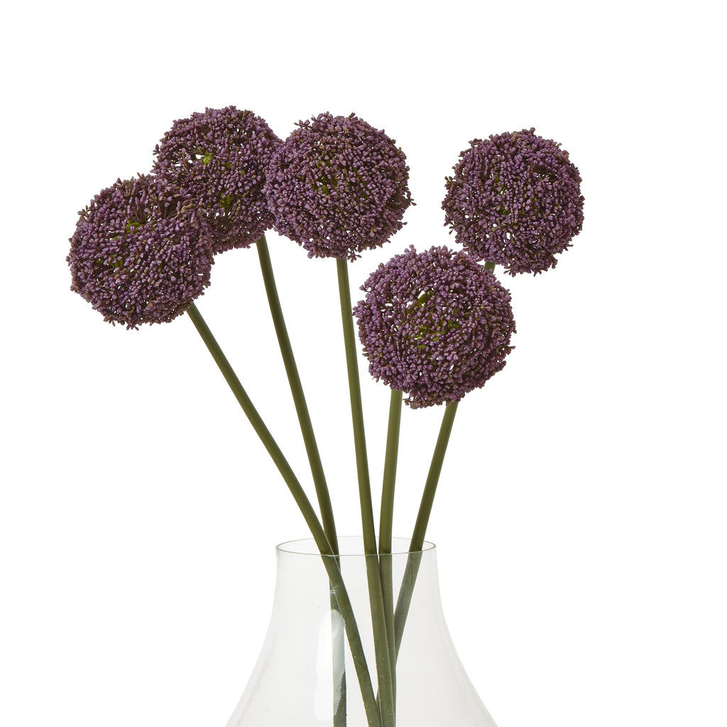 Purple Allium Stem - Purple