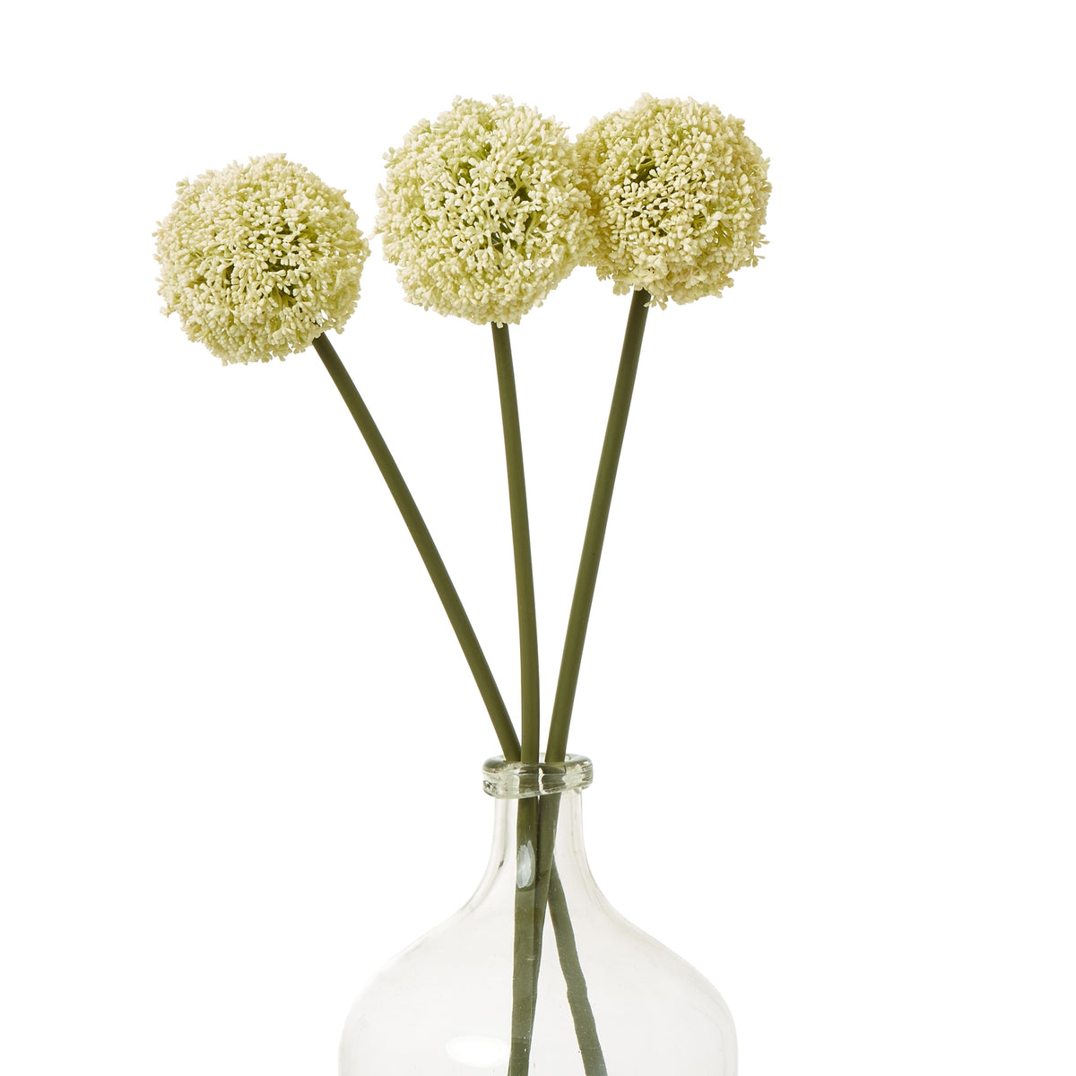 Cream Medium Allium Stem - Cream