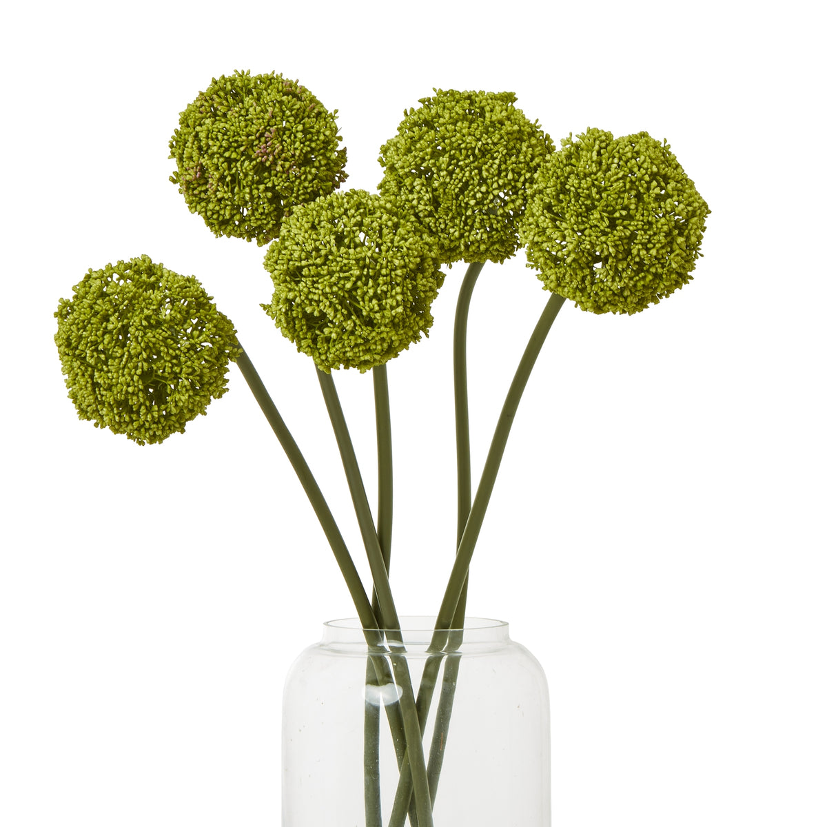 Green Allium Stem - Green