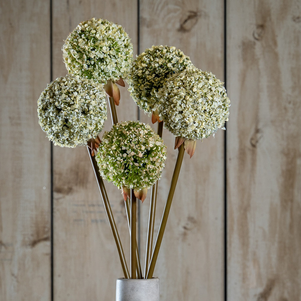 Green Medium Allium Stem