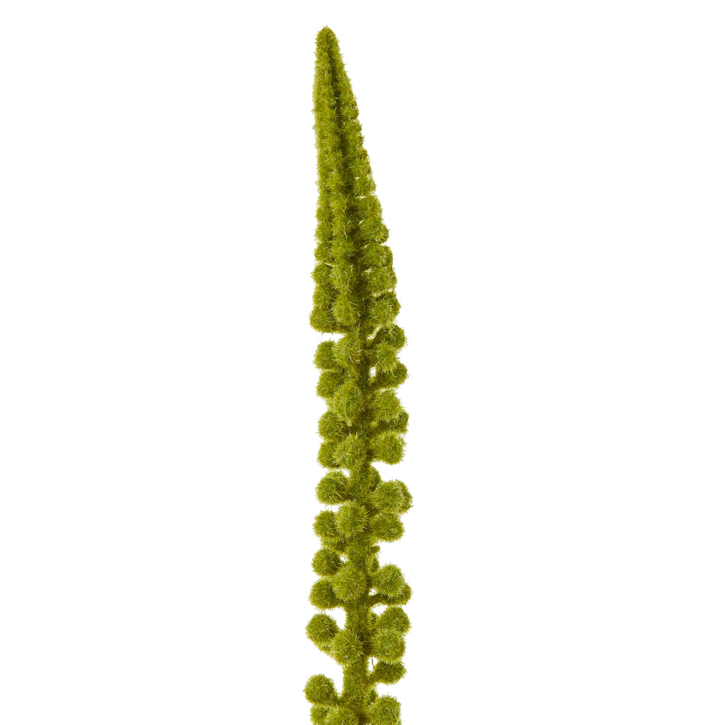 Green Eremurus Stem - Green