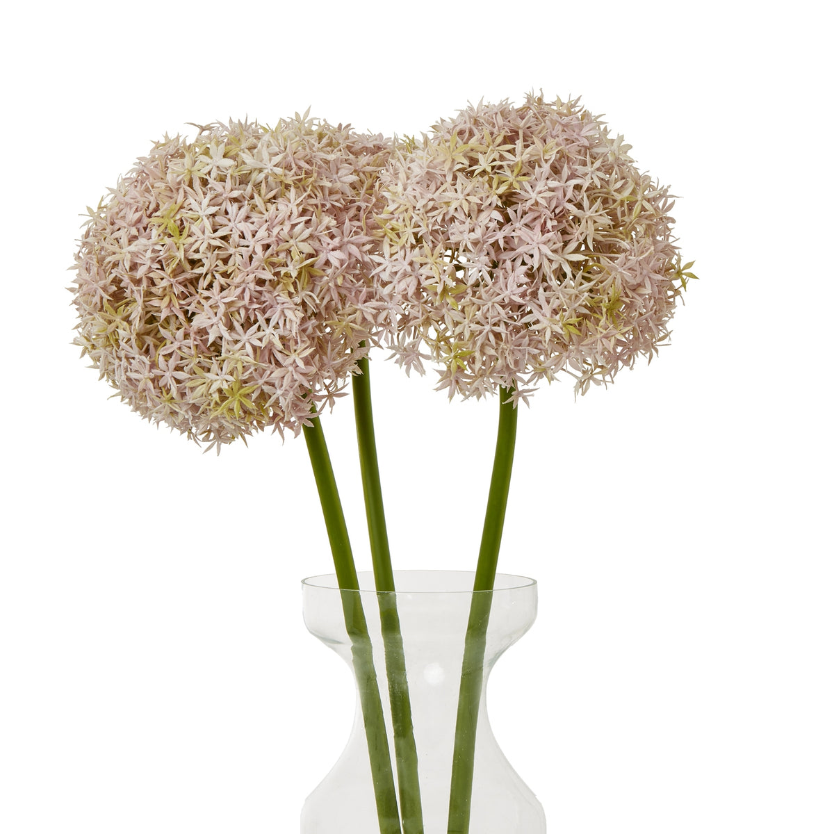 Lilac Giant Allium Stem - Lilac