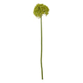 Green Giant Allium Stem