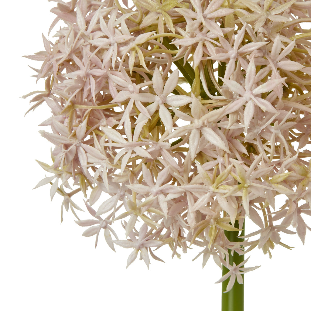 Lilac Medium Allium Stem - Lilac