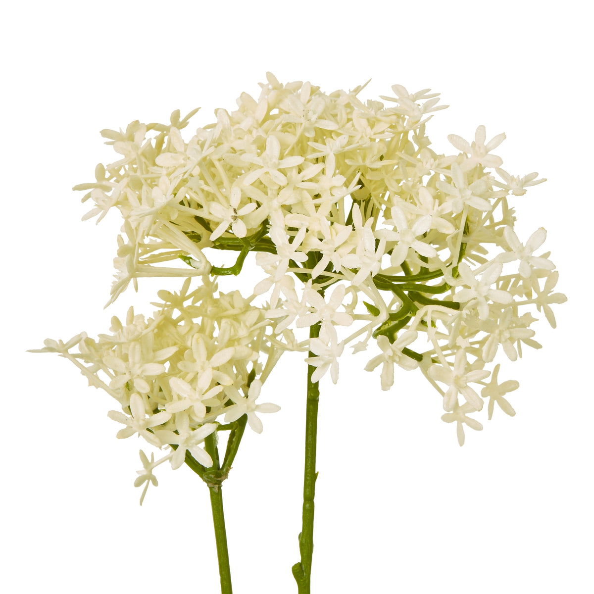 Cream Crown Hydrangea Stem - Cream