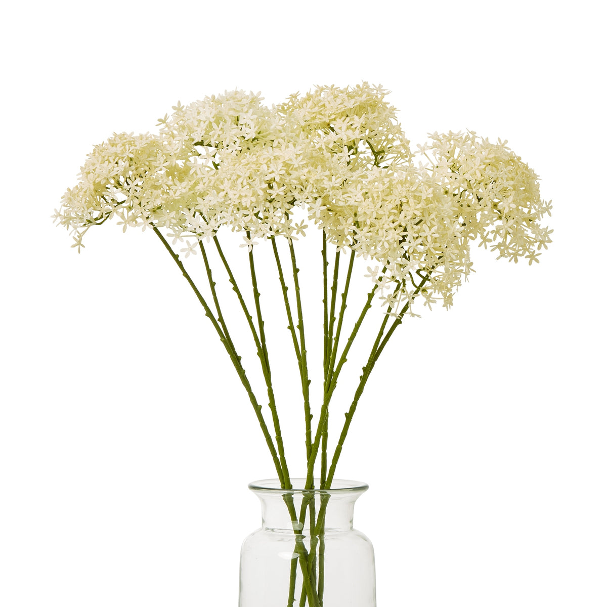 Cream Crown Hydrangea Stem - Cream