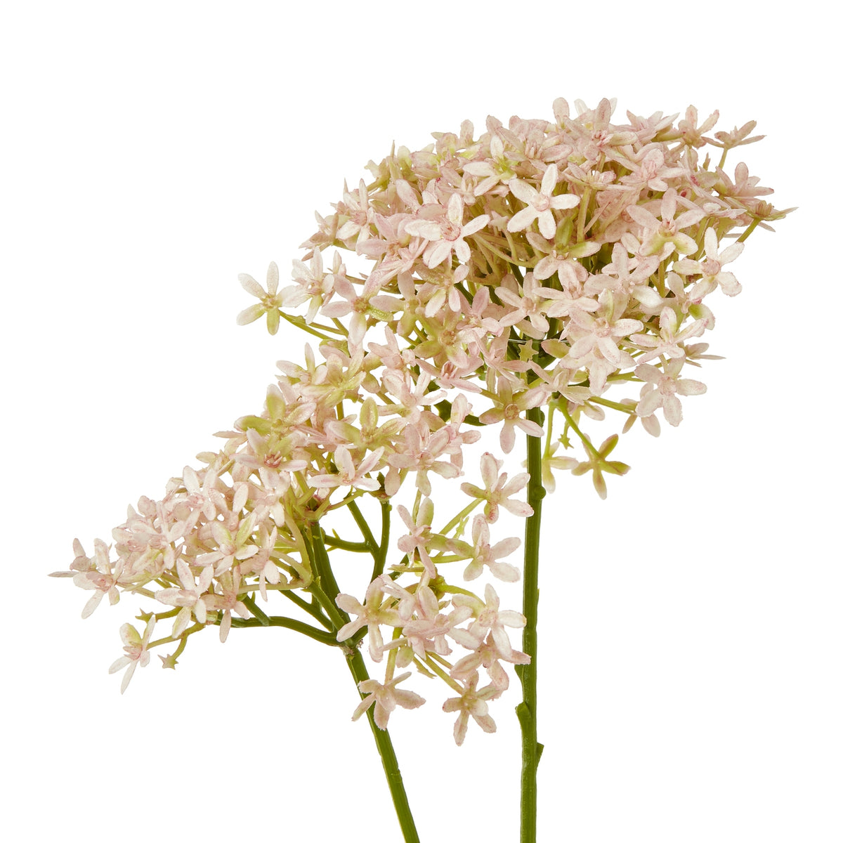 Pink Crown Hydrangea Stem - Pink