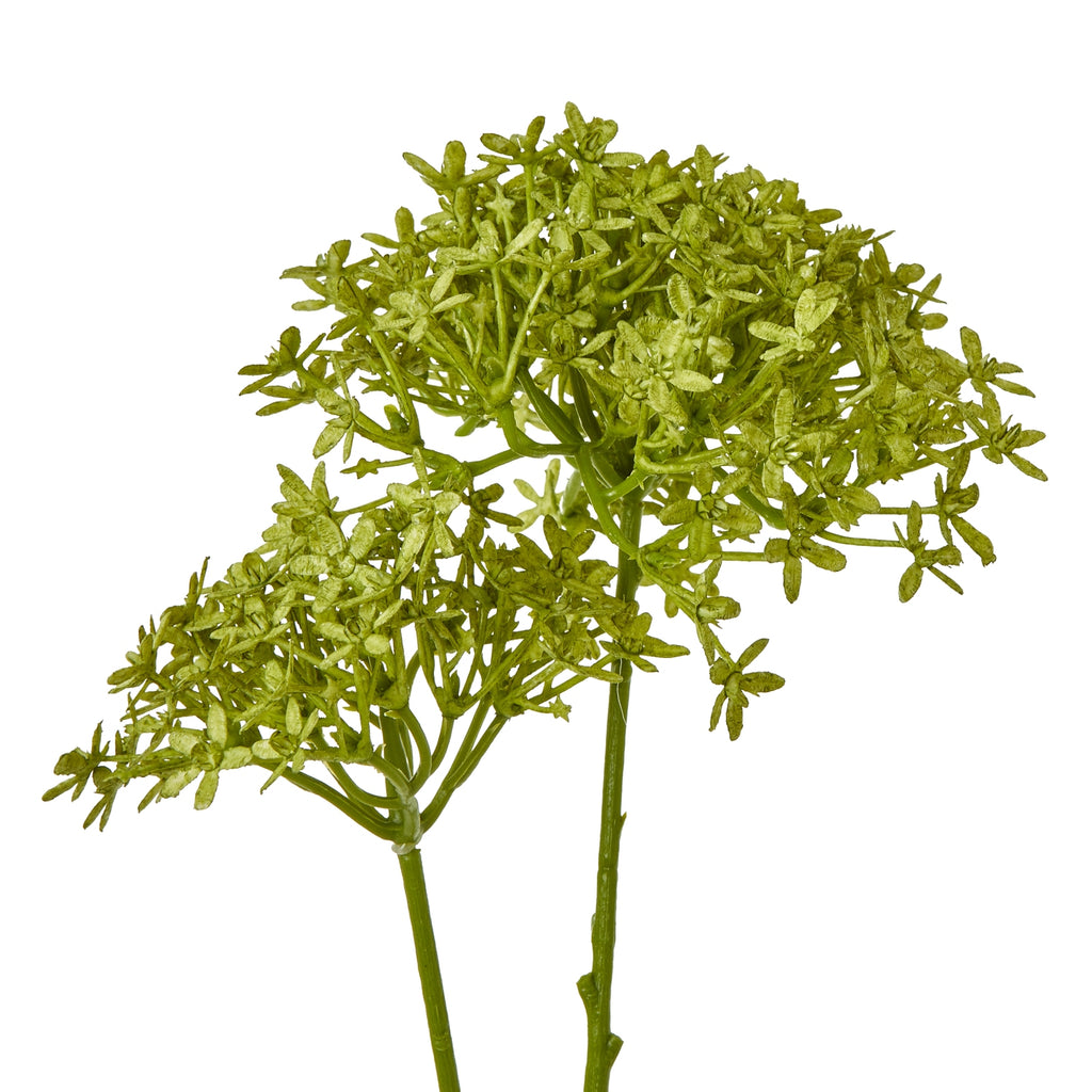 Green Crown Hydrangea Stem - Green