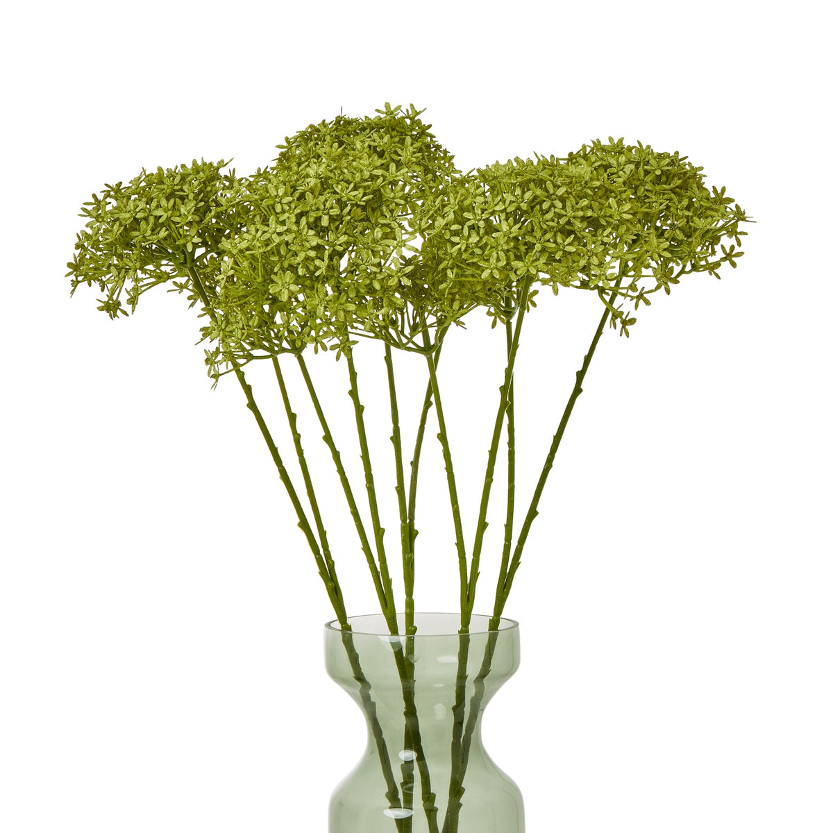 Green Crown Hydrangea Stem - Green