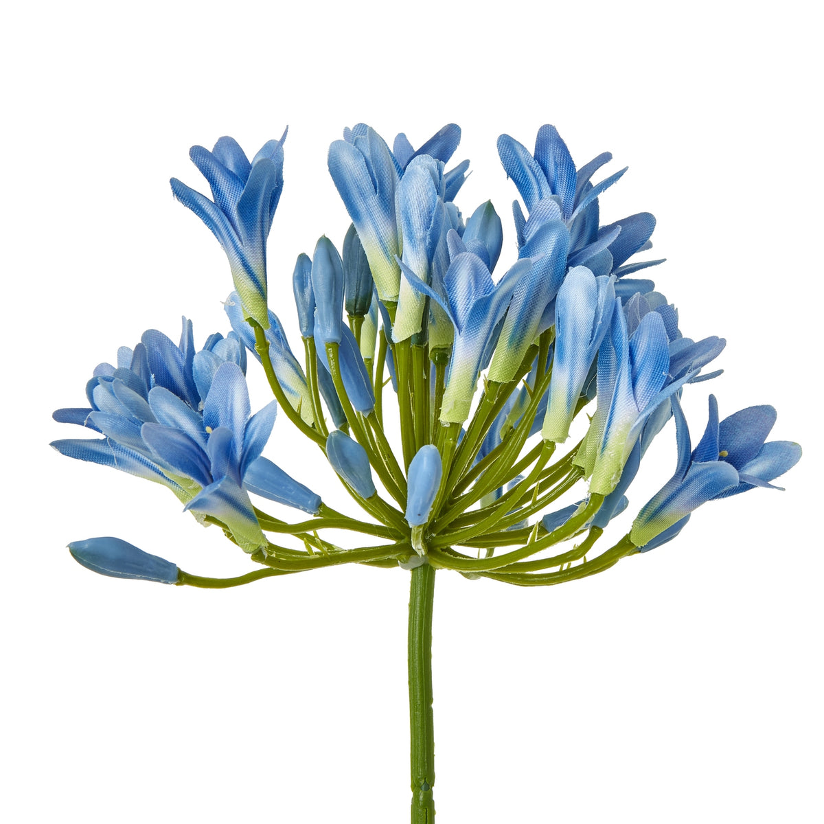 Blue Agapanthus Stem - Blue