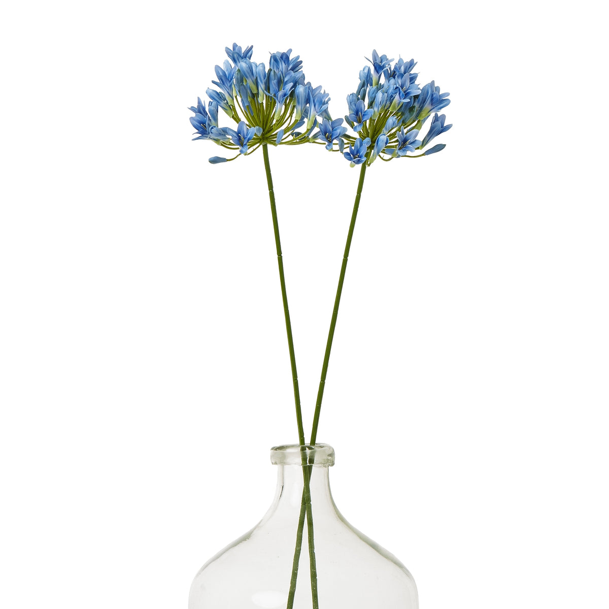 Blue Agapanthus Stem - Blue
