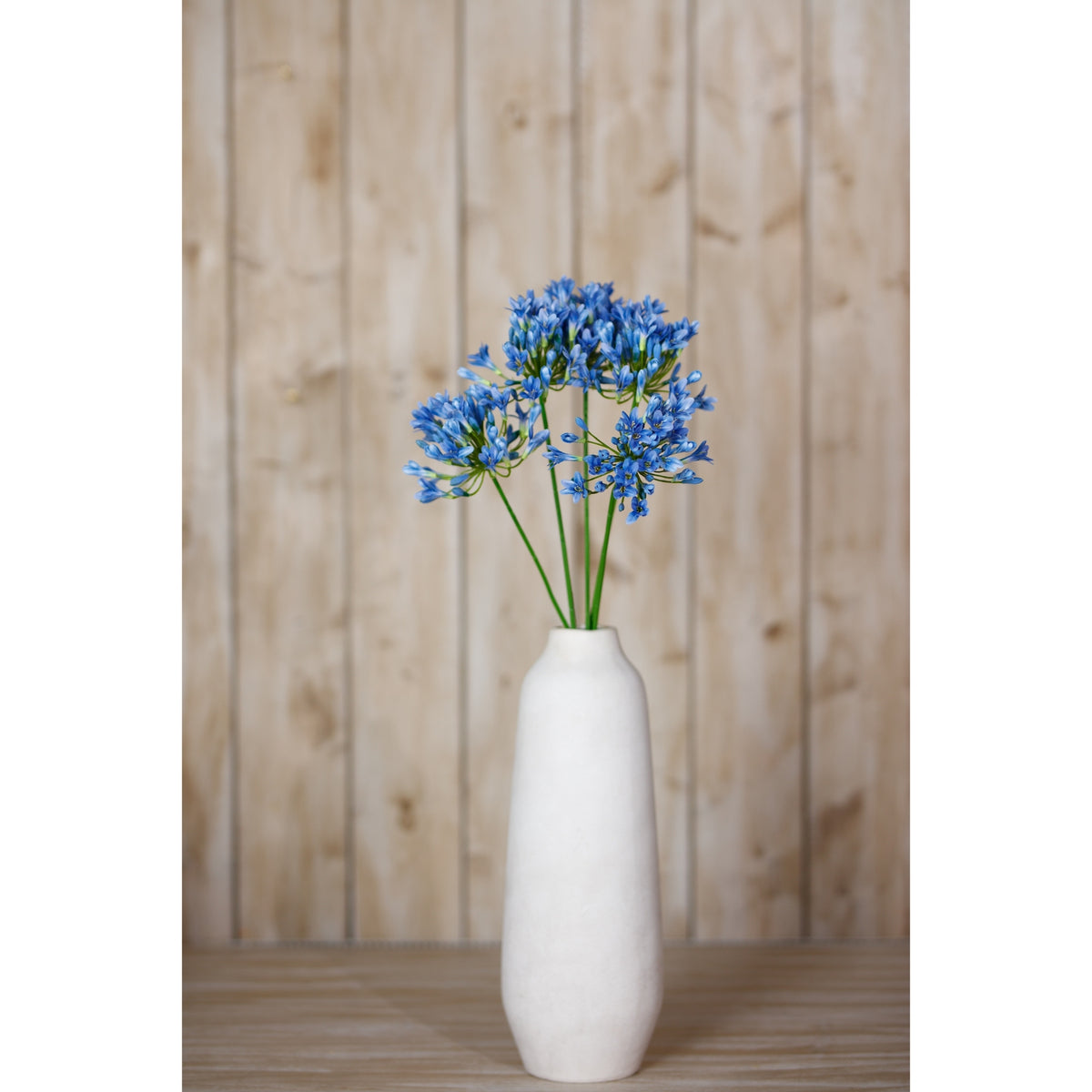 Blue Agapanthus Stem - Blue