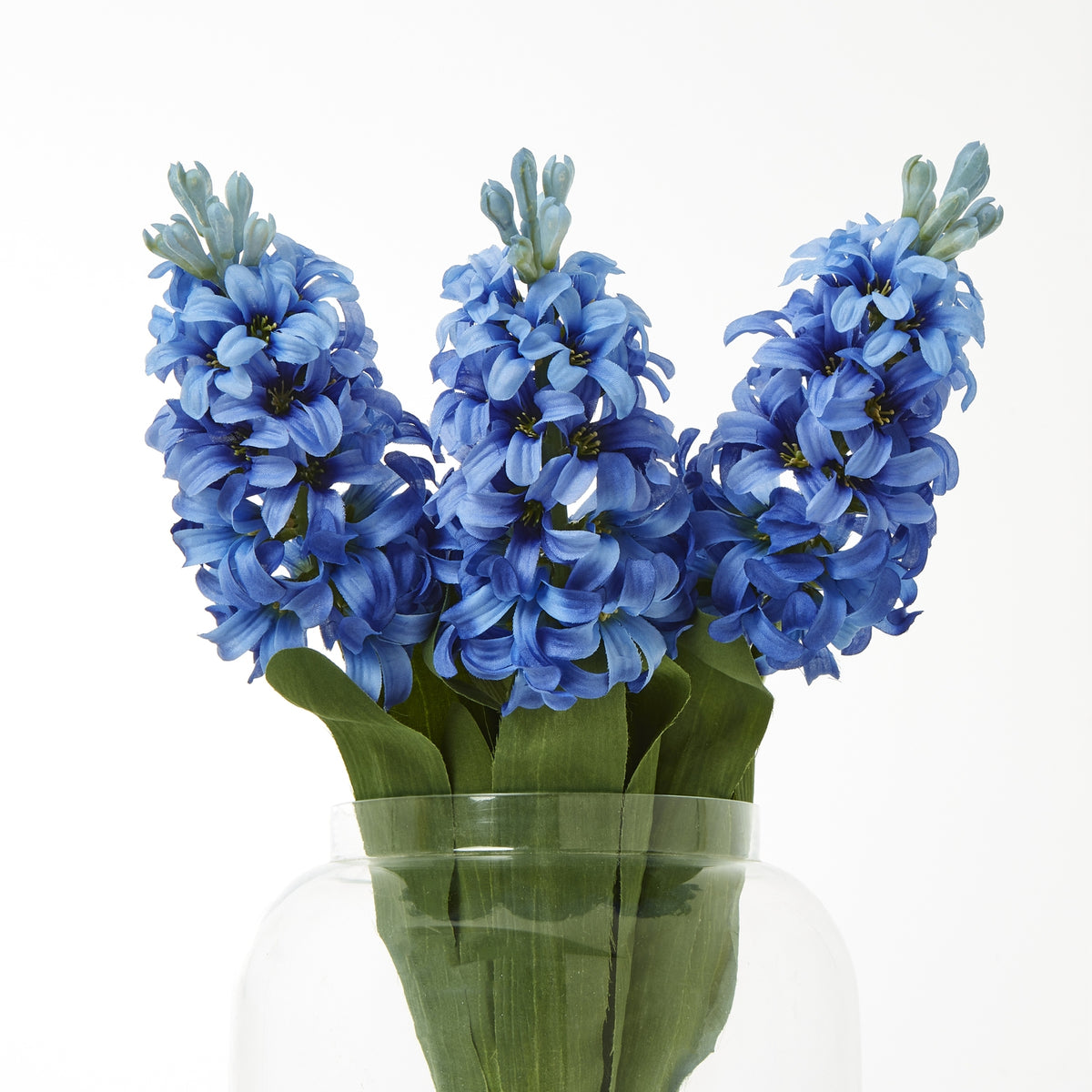 Blue Hyacinth Stem - Blue