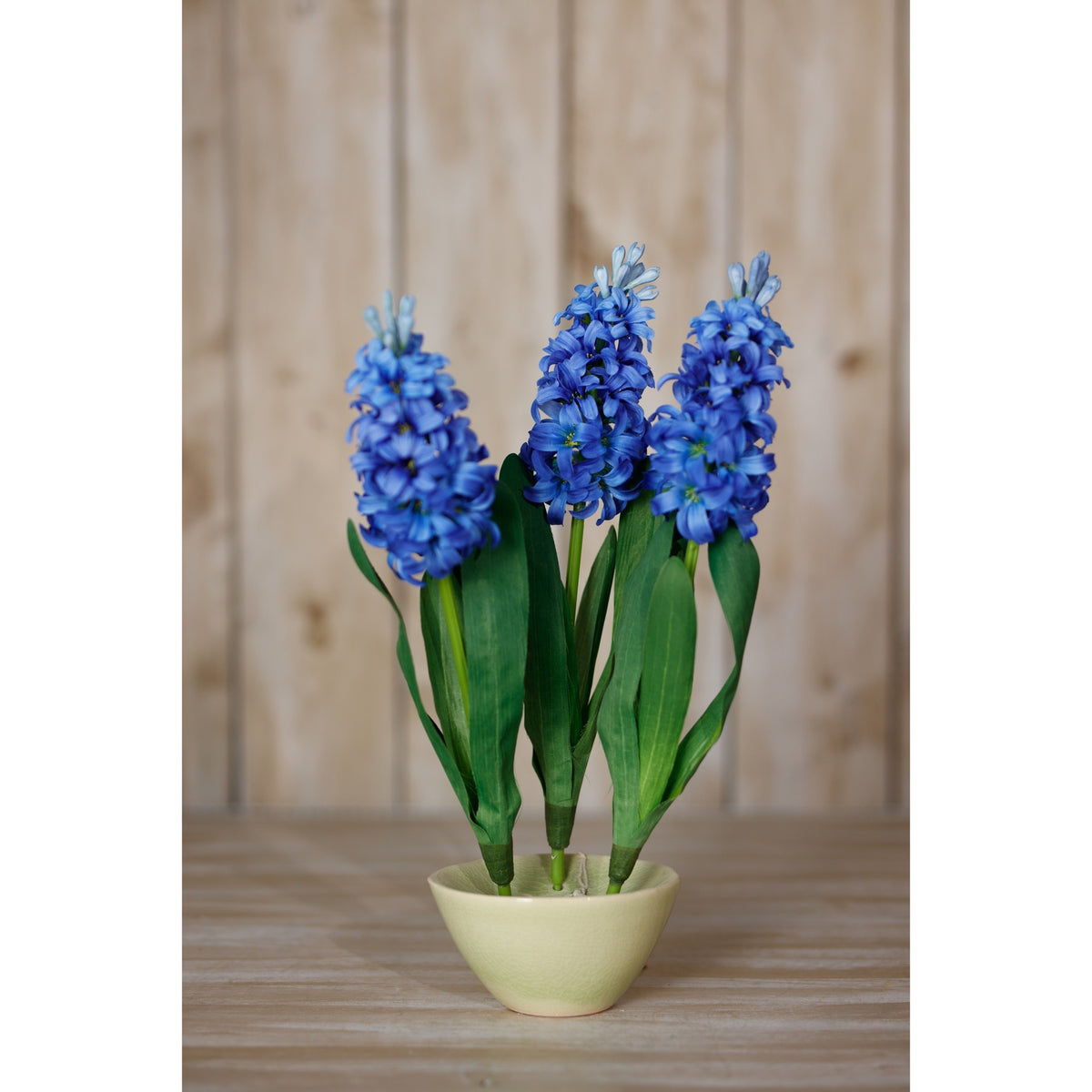 Blue Hyacinth Stem - Blue