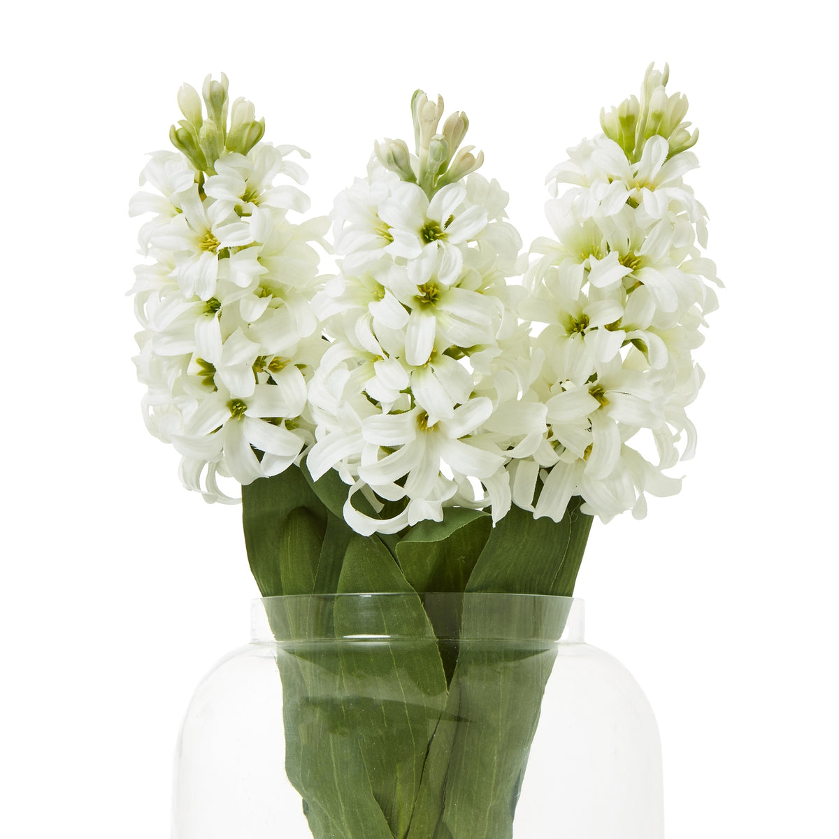 White Hyacinth Stem - White