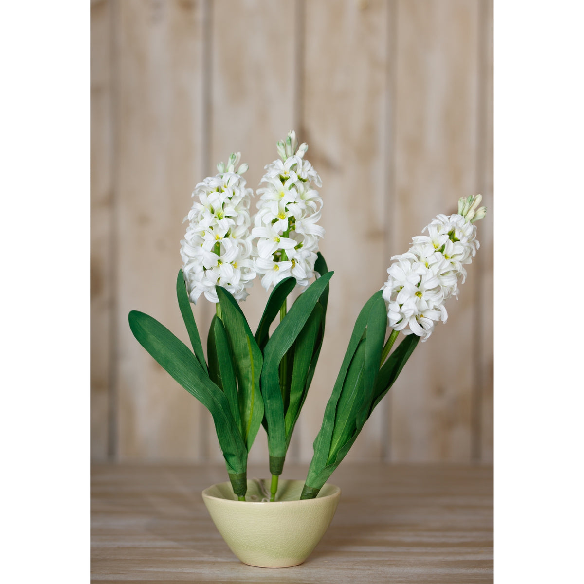 White Hyacinth Stem - White