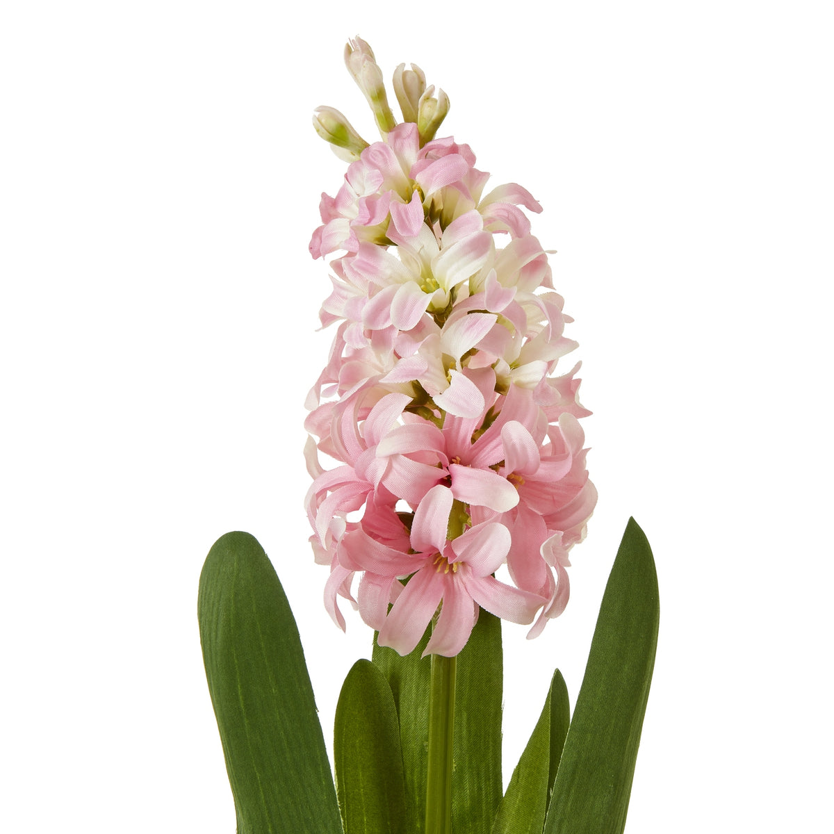 Pink Hyacinth Stem - Pink