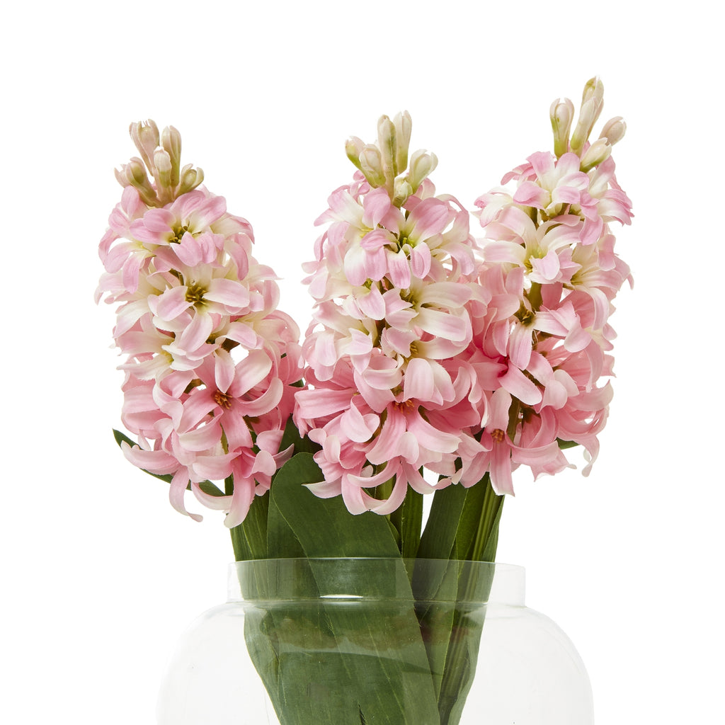 Pink Hyacinth Stem - Pink
