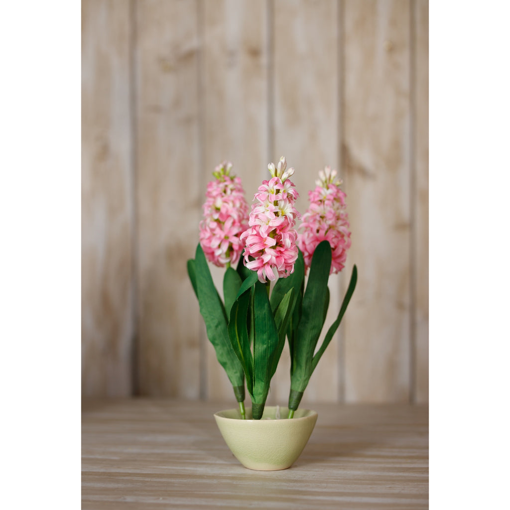 Pink Hyacinth Stem - Pink