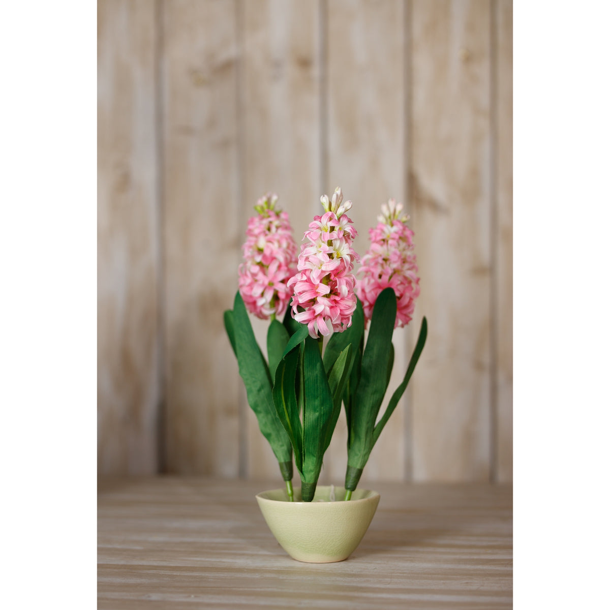 Pink Hyacinth Stem - Pink