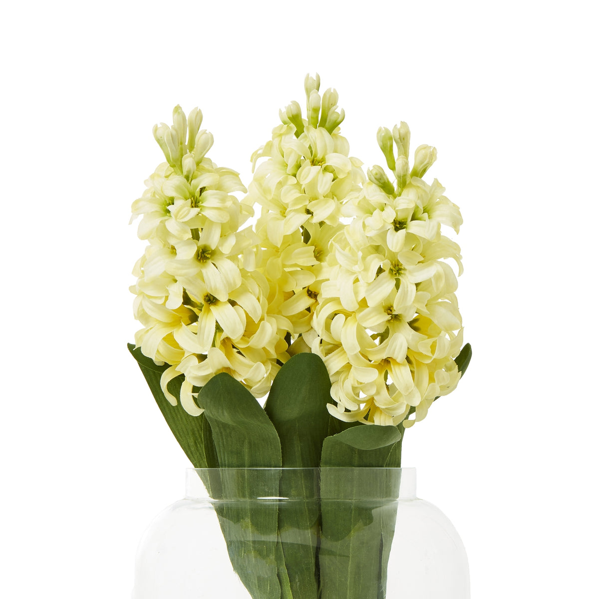Yellow Hyacinth Stem - Yellow