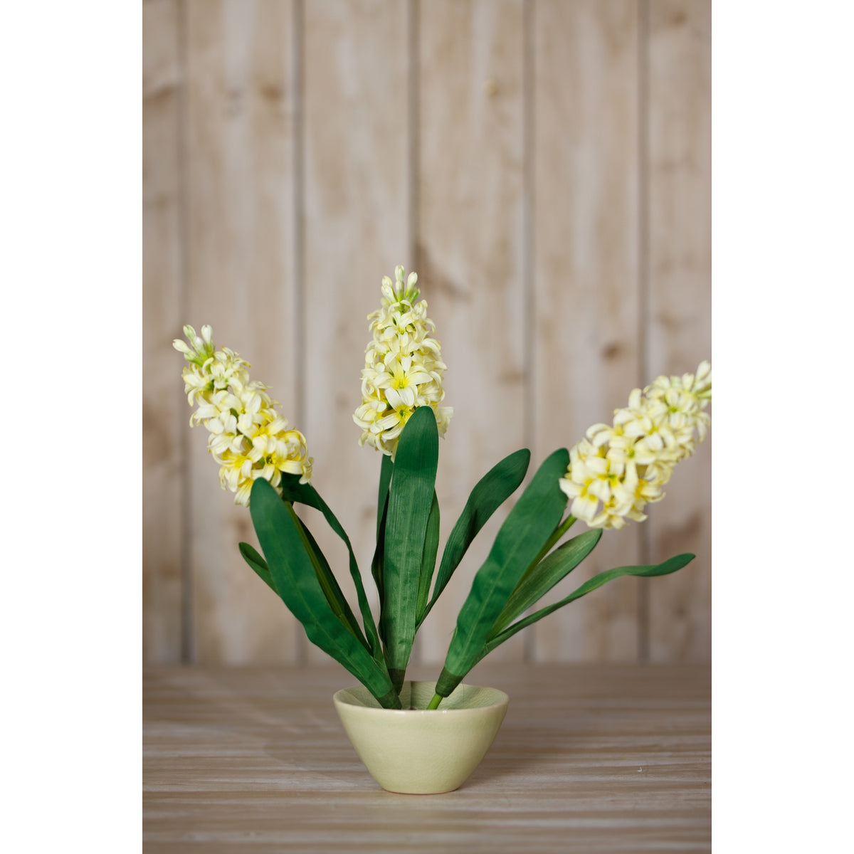 Yellow Hyacinth Stem - Yellow