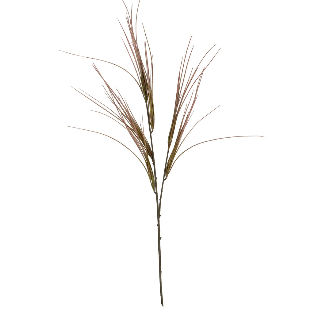 Brome Grass Spray - Green