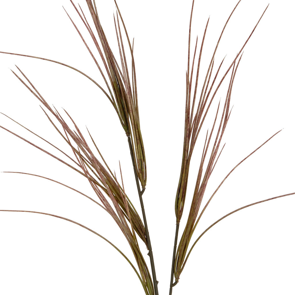 Brome Grass Spray - Green