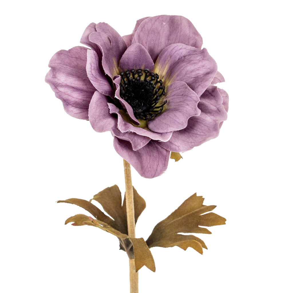 Purple Anemone Stem - Purple