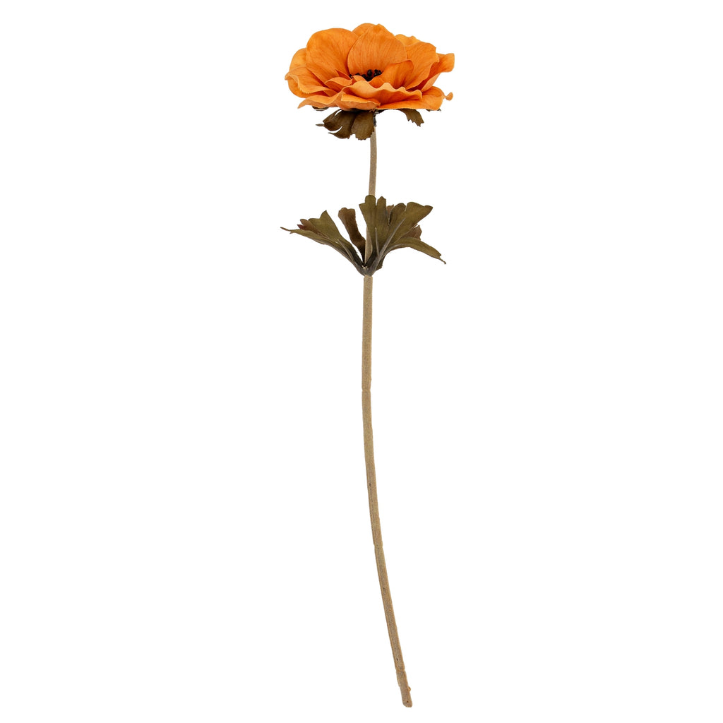 Yellow Anemone Stem - Yellow