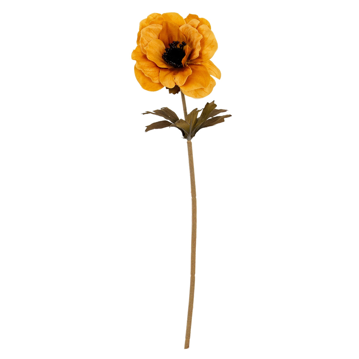 Orange Anemone Stem - Orange