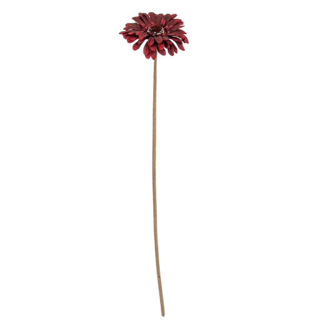 Burgundy Gerbera Stem - Burgundy