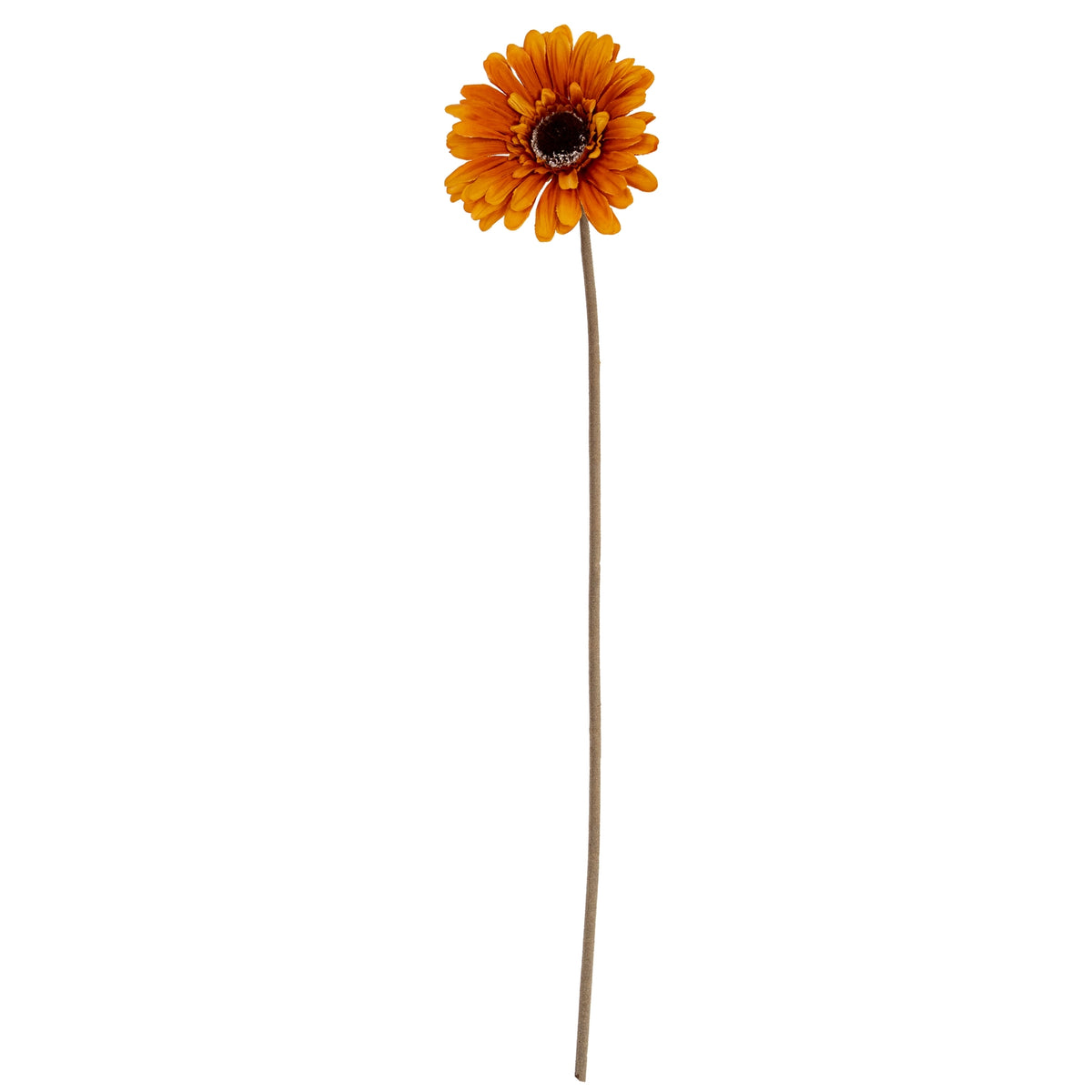 Soft Yellow Gerbera Stem - Yellow