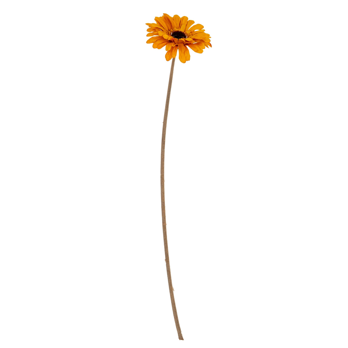 Orange Gerbera Stem - Orange